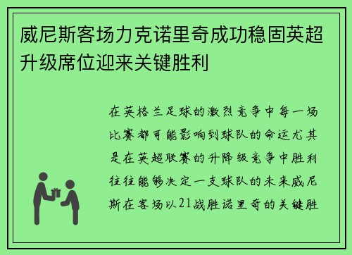 威尼斯客场力克诺里奇成功稳固英超升级席位迎来关键胜利