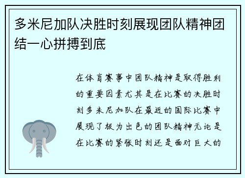 多米尼加队决胜时刻展现团队精神团结一心拼搏到底