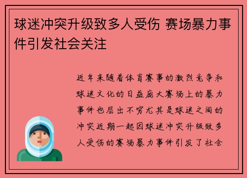 球迷冲突升级致多人受伤 赛场暴力事件引发社会关注
